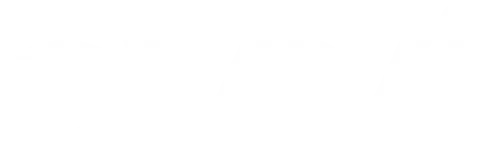 ovvi_whitelogo1-480x159_webP ovvi whitelogo1 OVVI Services